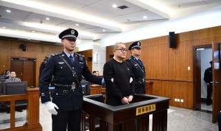 孙小果犯的什么案子 孙小果犯的什么案子