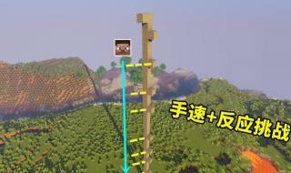 星立方成绩查询平台