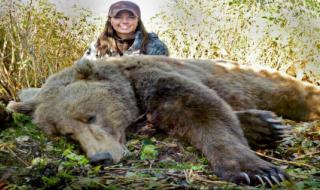 野生动物园熊咬死人 野生动物园熊咬死人