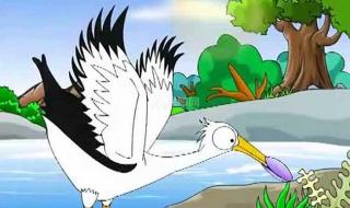 鹬蚌相争的道理 鹬蚌相争的道理