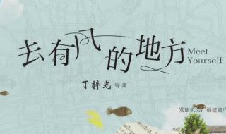 去有你的地方电视剧 去有你的地方电视剧