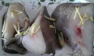 什么鱼被称为软黄金 什么鱼被称为软黄金