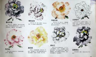 写意牡丹画法 写意牡丹画法