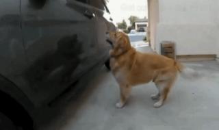 我要出去玩 我要出去玩