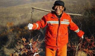 三种人不能吃沙棘