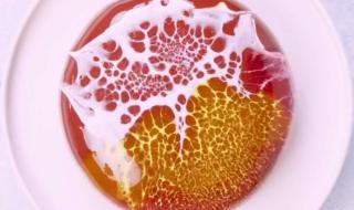 西点到哪里学 西点到哪里学