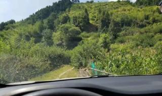 人生很贵请别浪费